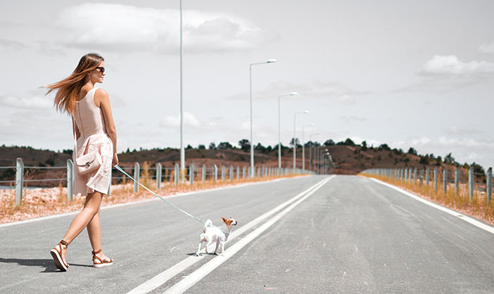 美国波士顿大学租房好找么