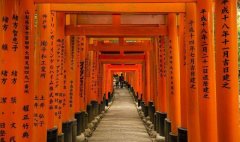 波士顿留学生网：留学租房入住手续办理