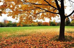 <b>波士顿留学生网之租房有什么需要你注意的</b>